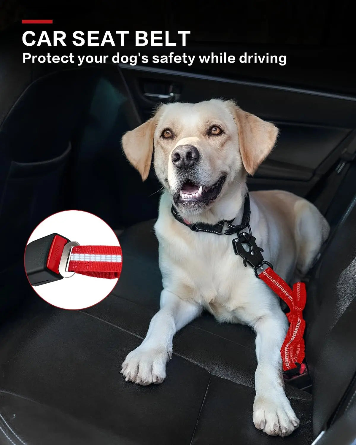 Tactical Dog Leash – Heavy-Duty 4–6FT Bungee Lead with Dual Handles, Metal Clip & Seatbelt Attachment