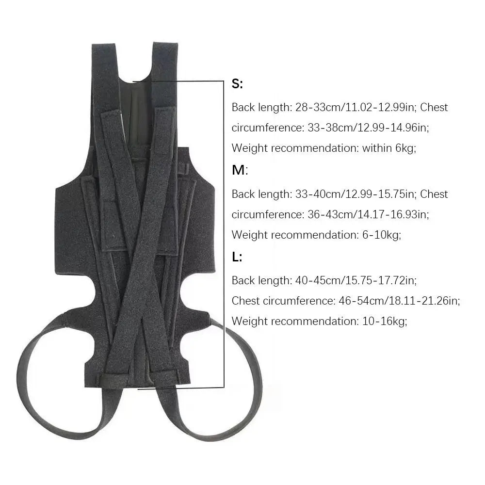 Black Dog Back Support Vest – Adjustable Orthopedic Brace for Injury Recovery