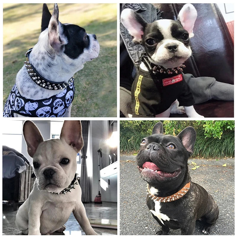 Adjustable PU Leather Spiked Dog Collar – Punk Style Rivet Neck Strap for Small Dogs & Cats