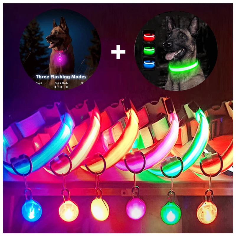USB Rechargeable LED Dog Collar – Glowing Light-Up Safety Collar with Pendant for Small Dogs & Cats