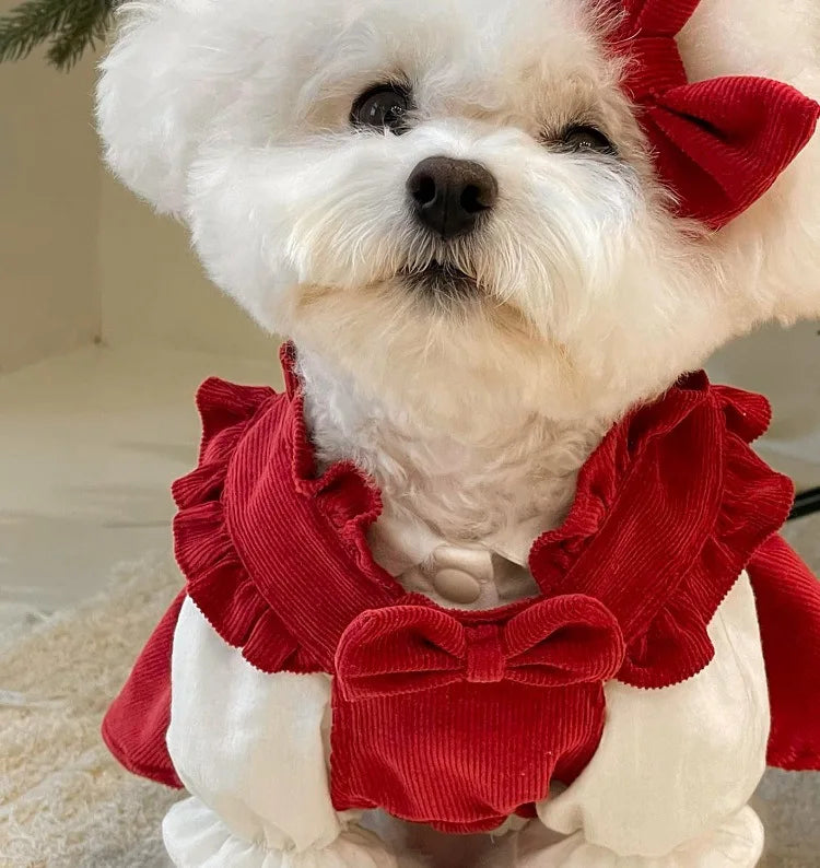 Winter Puppy Princess Dress – Warm Bow Knot Dog Dress Set with Hair Clip