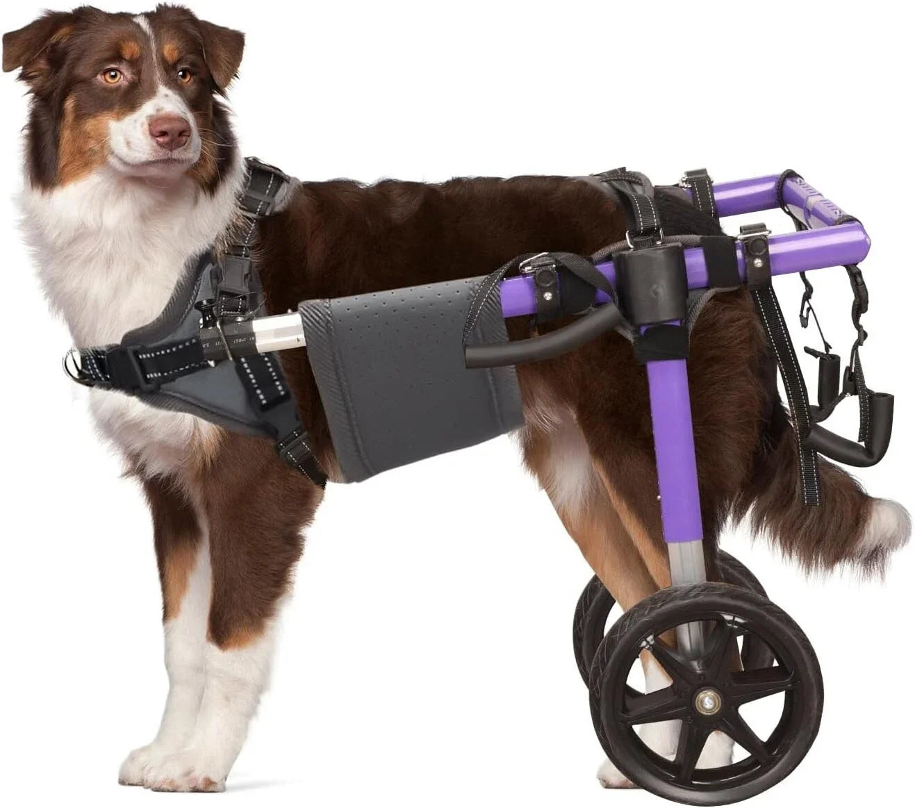 Dog Wheelchair for Back Legs – Lightweight Aluminum Frame with All-Terrain Wheels | Mobility Support for Large Dogs