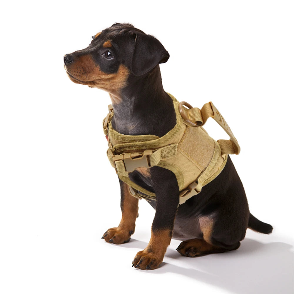 Tactical Puppy Harness with Leash – Adjustable Vest for Small Dogs & Cats
