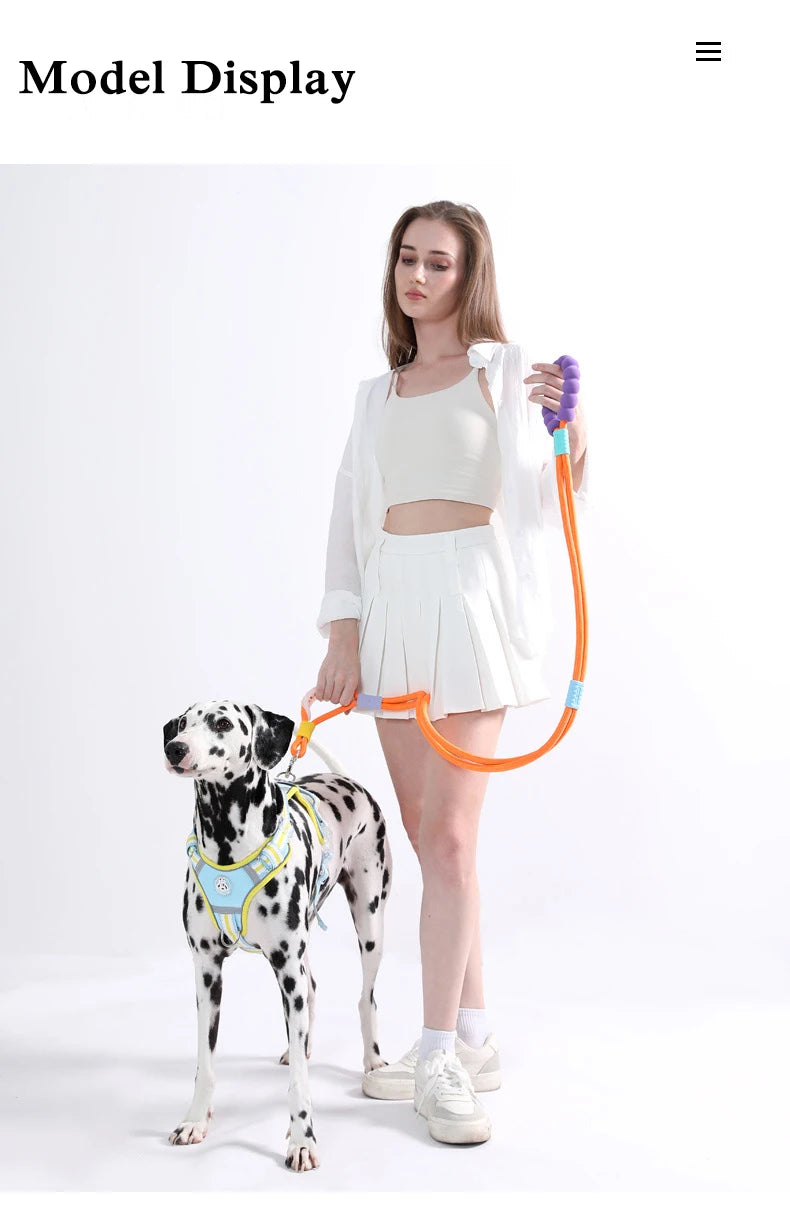 Cotton Candy P-Chain Dog Leash – Anti-Slip, Wear-Resistant Traction Rope