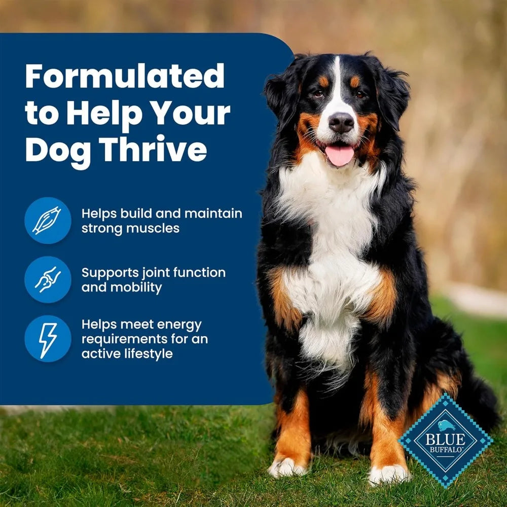 Life Protection Formula Adult Dry Dog Food – Chicken & Brown Rice Recipe, 34-lb Bag | Supports Muscle Maintenance & Overall Health