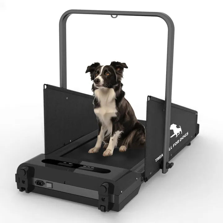 2.5HP Foldable Dog Treadmill – Indoor Running Machine for Small & Medium Dogs (Up to 220 lbs)