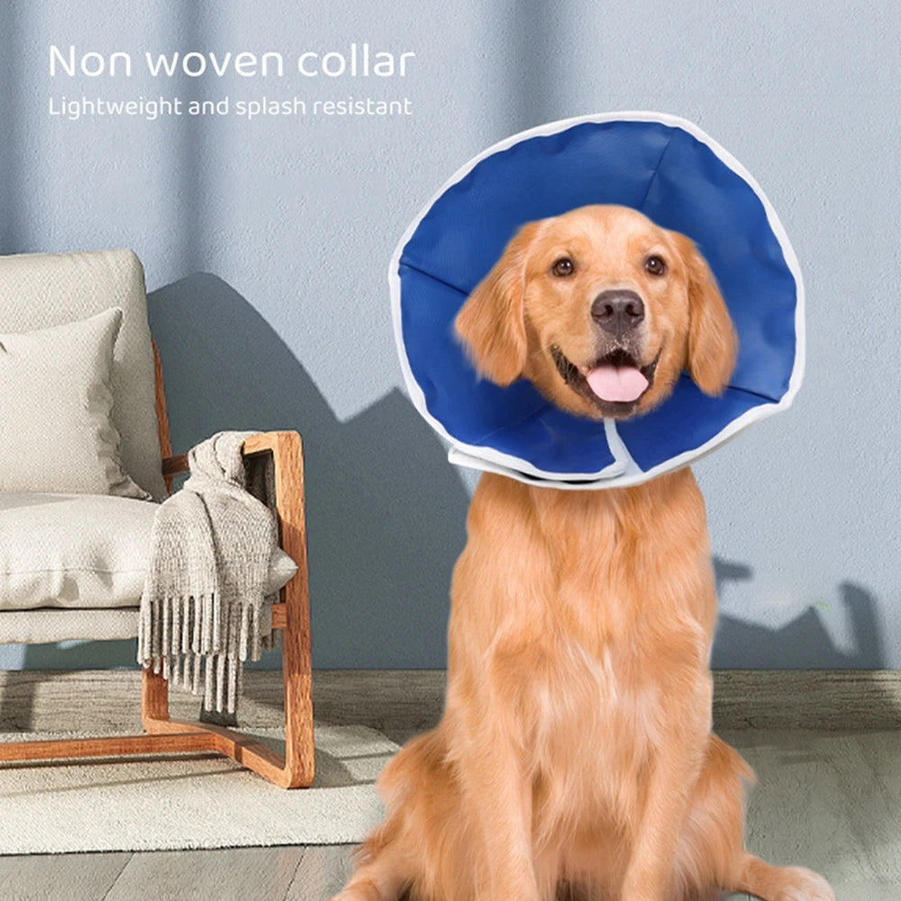 Adjustable Soft Recovery Cone for Cats & Small Dogs – Comfortable Elizabethan Collar