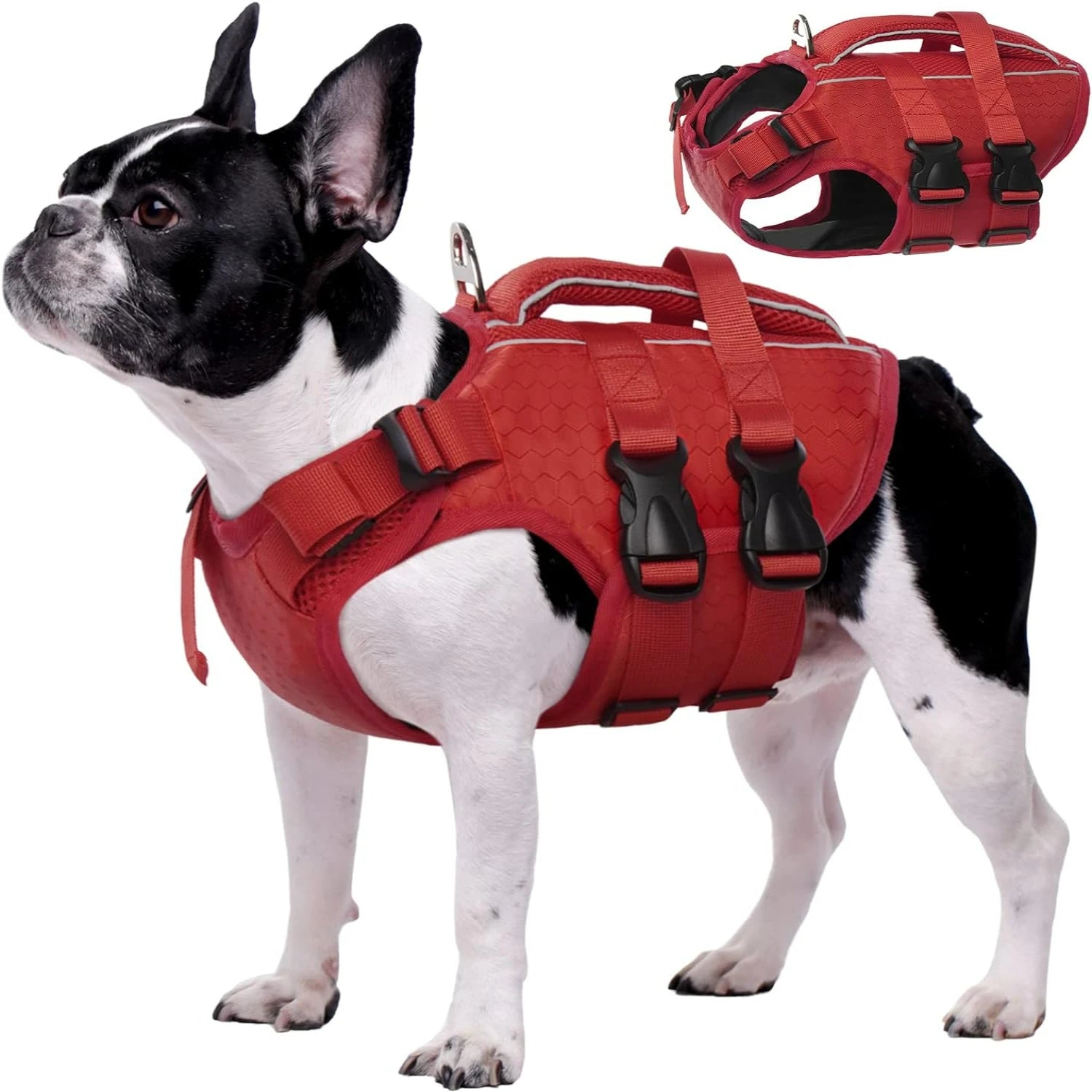 Adjustable High-Flotation Dog Life Jacket – Lightweight & Durable for All Sizes