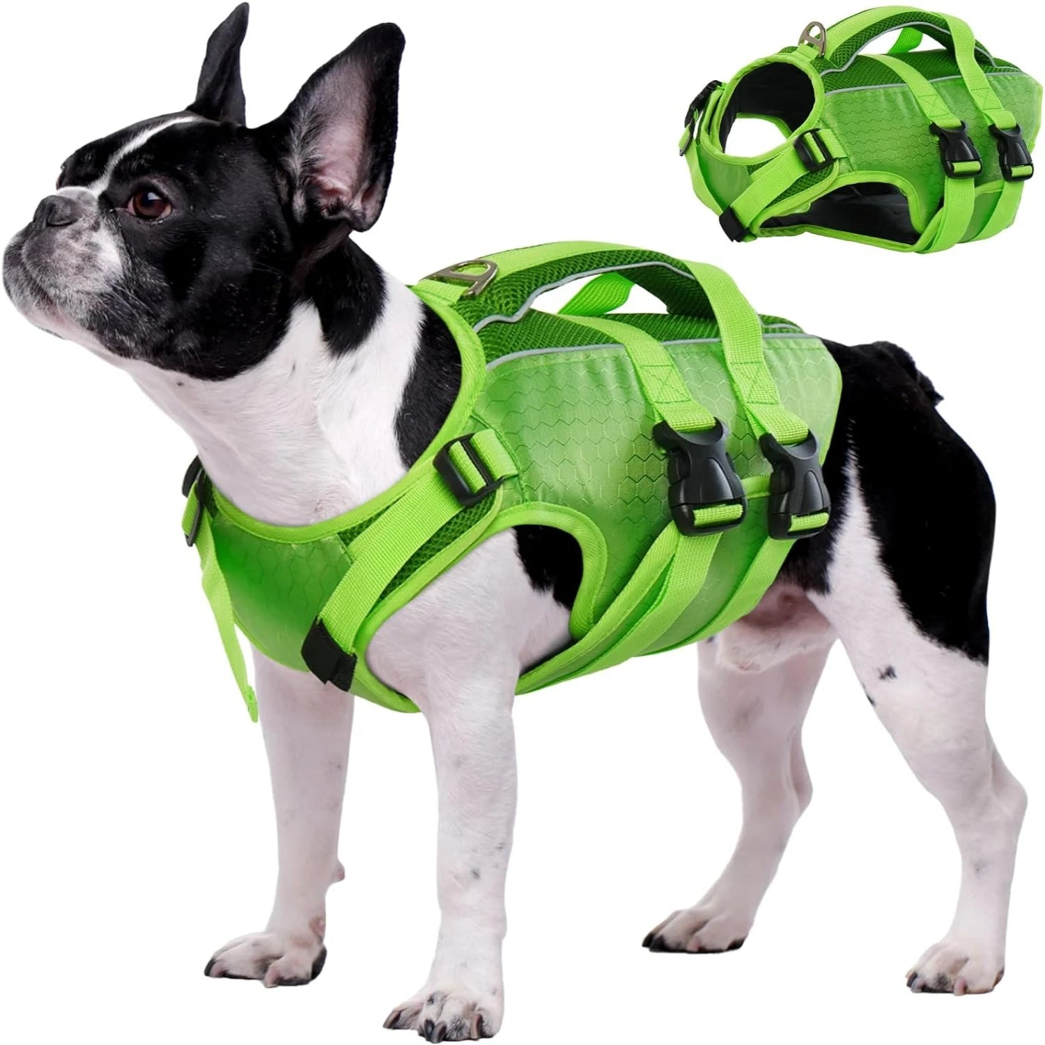 Adjustable High-Flotation Dog Life Jacket – Lightweight & Durable for All Sizes