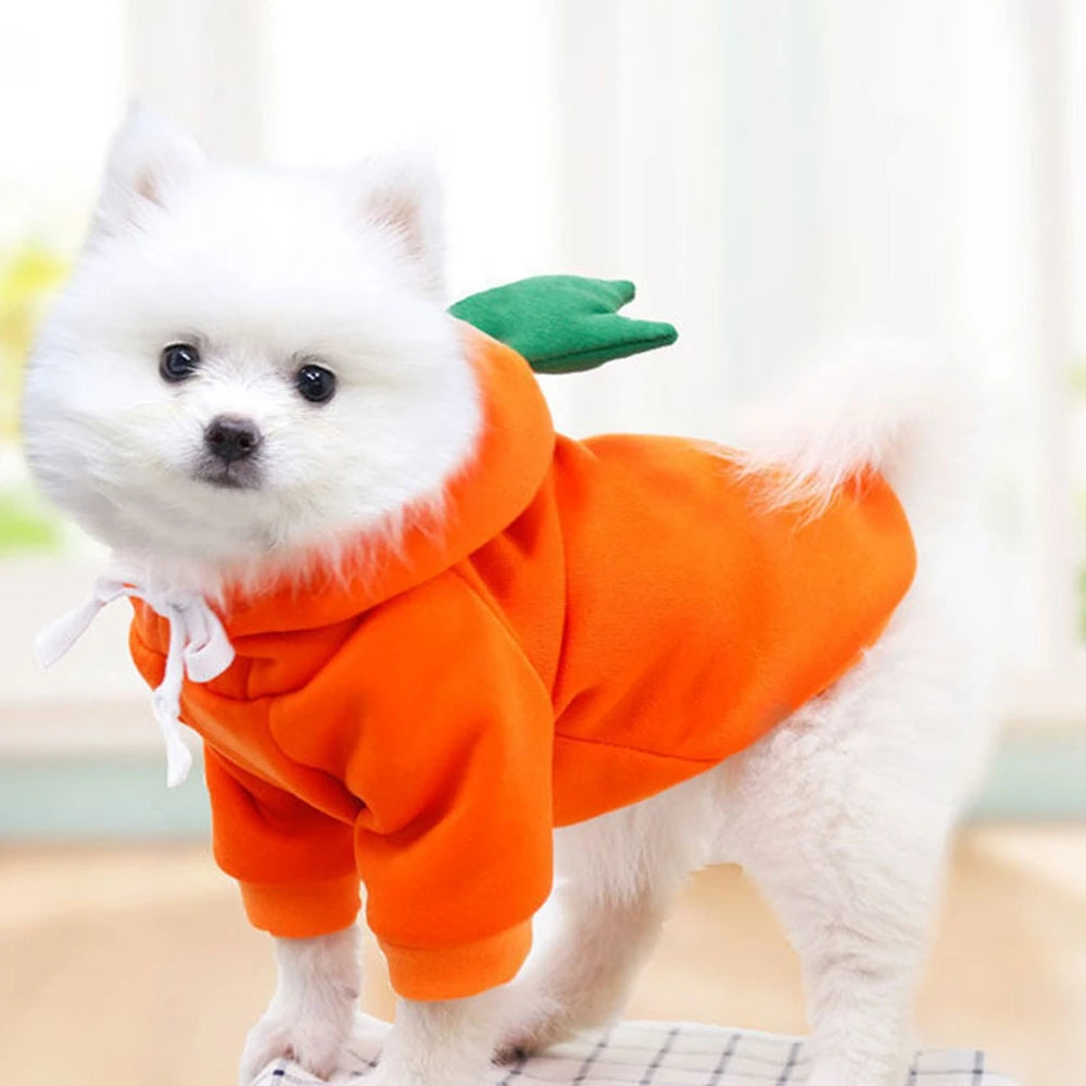 Fruit Dog Hoodie – Warm Fleece Costume for Small Dogs & Cats