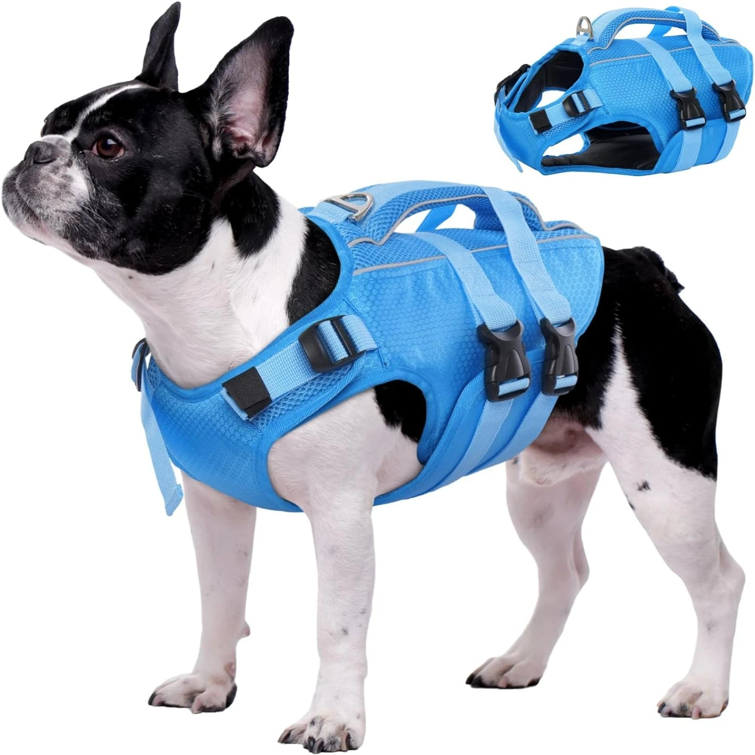Adjustable High-Flotation Dog Life Jacket – Lightweight & Durable for All Sizes