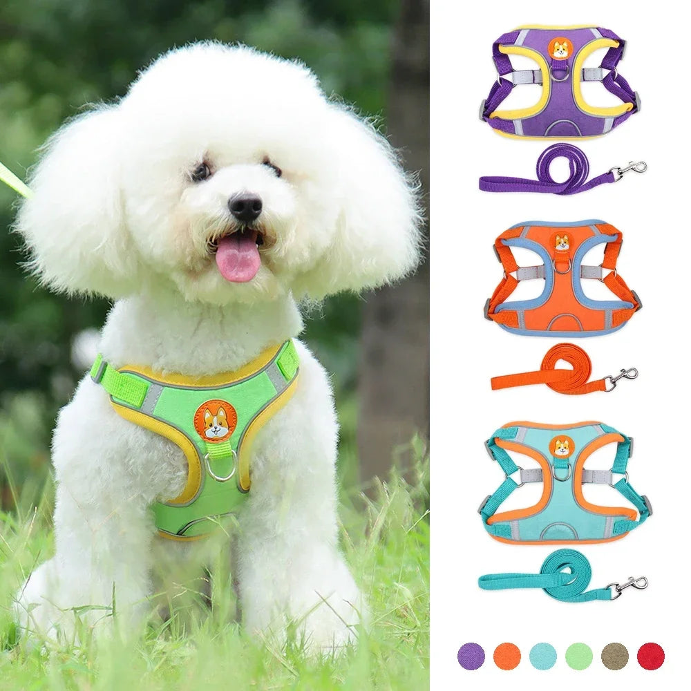 No Pull Dog Harness and Leash Set – Adjustable Reflective Puppy & Cat Vest for Small Dogs, Chihuahuas