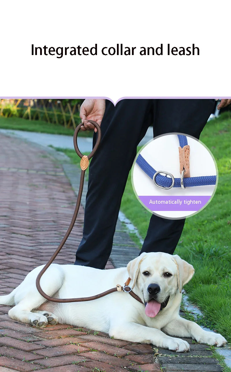 Braided Rope Dog Slip Leash – Adjustable Training Lead for Small & Medium Dogs