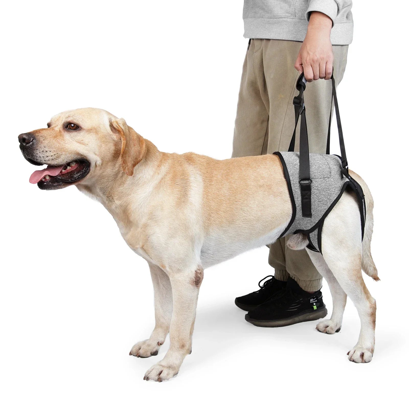 Adjustable Dog Lift Harness – Soft Padded Rear Leg Support for Senior, Injured & Disabled Large Dogs