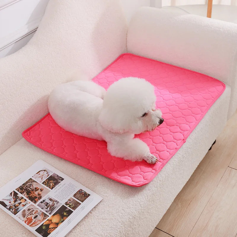 Reusable Dog Pee Pad Blanket – Absorbent Washable Training Pad & Bed Protector for Pets
