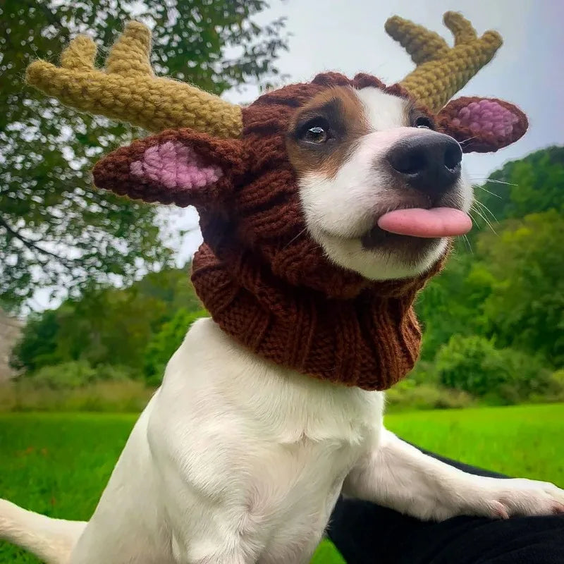 Christmas Elk Dog Hat – Knitted Warm Windproof Pet Headgear