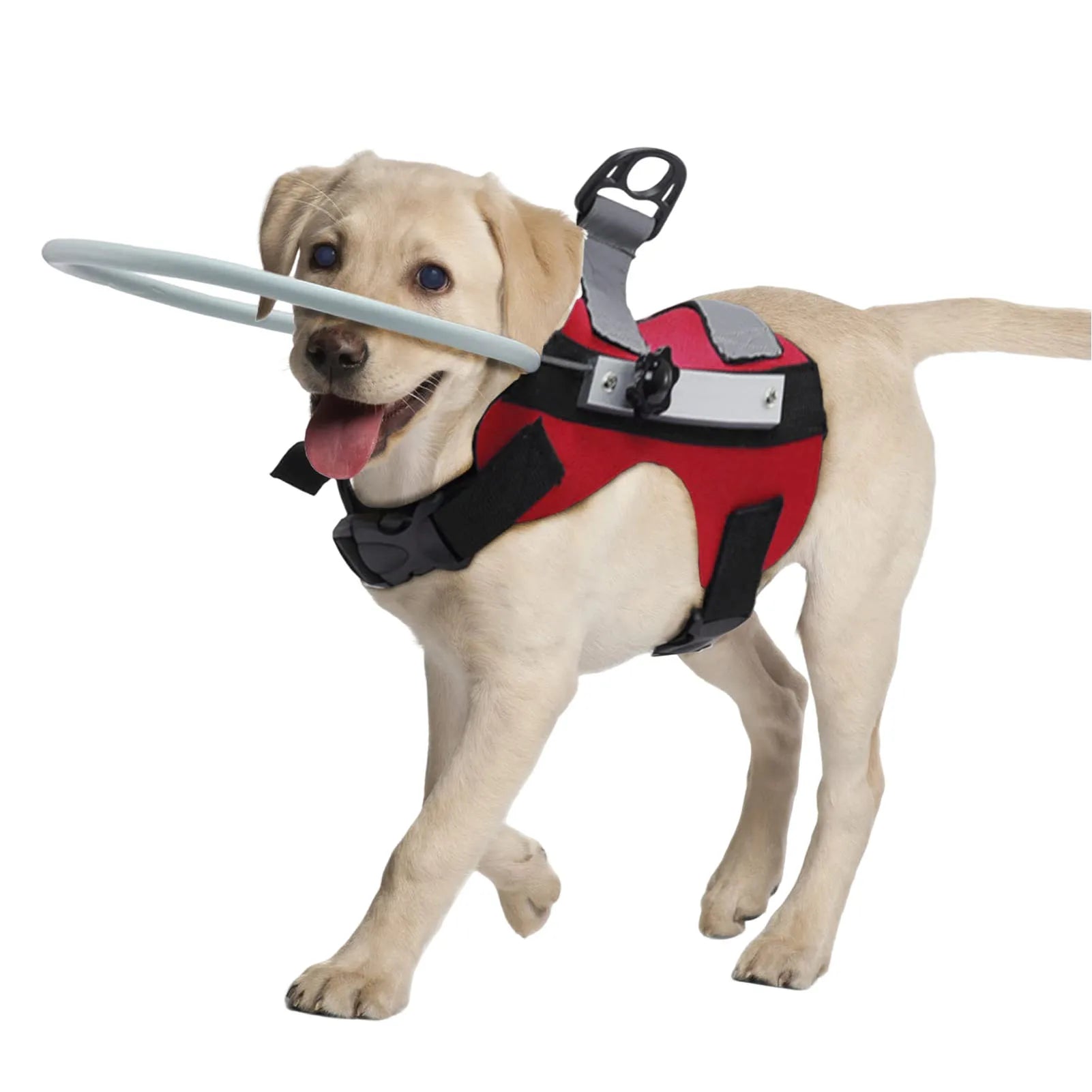 Blind Dog Halo Harness – Lightweight Anti-Collision Ring for Visually Impaired Pets (Fits 11"–20")