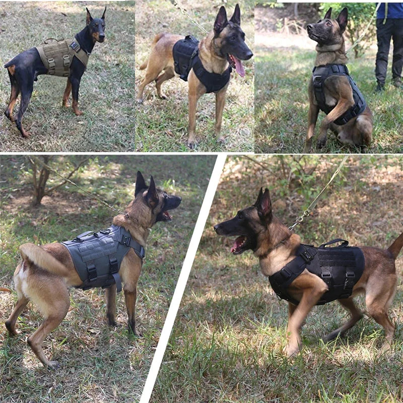 Tactical Dog Harness & Leash Set – Military-Grade Training Vest for All Breeds (German Shepherd, Golden Retriever & More)