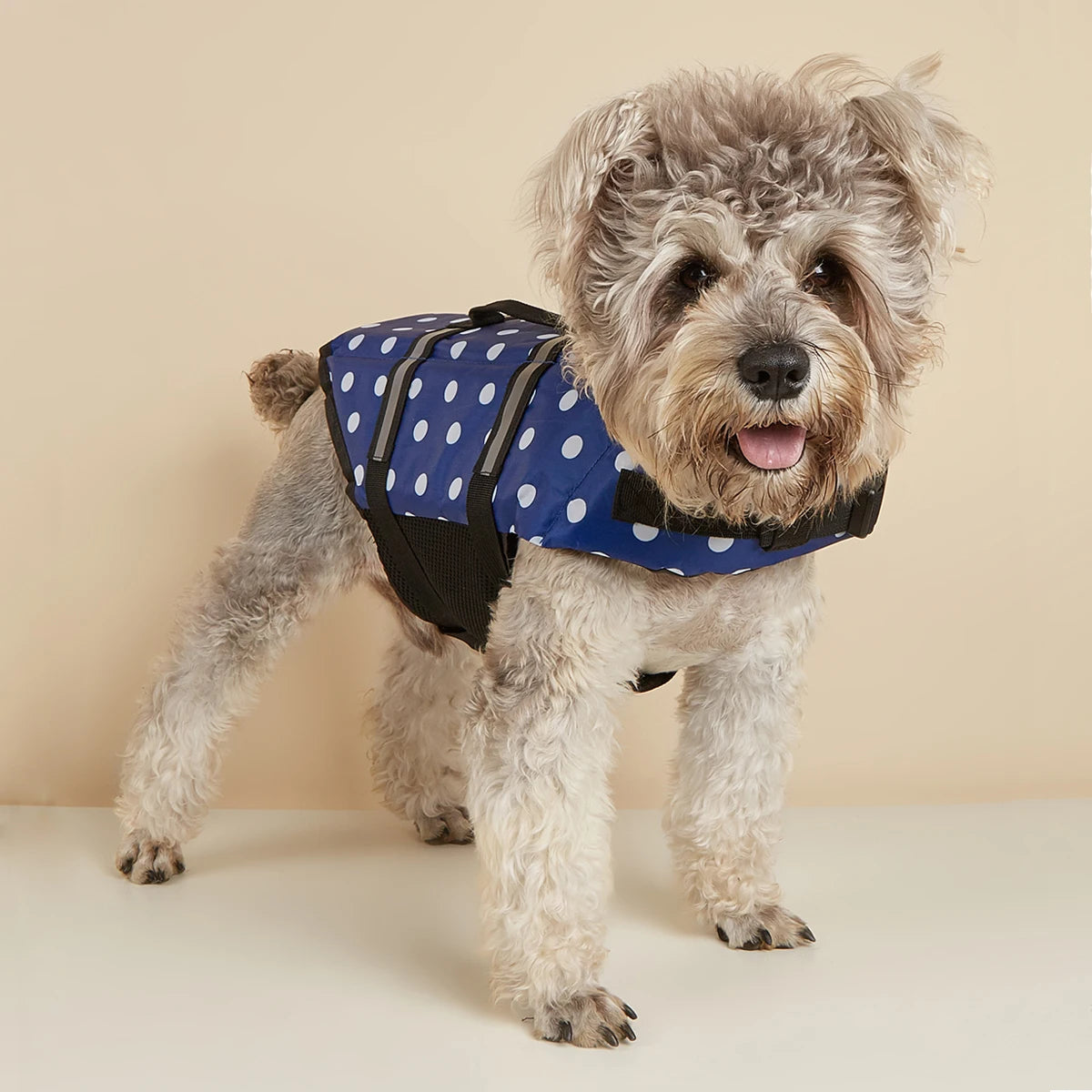 Reflective Dog Life Jacket – Adjustable Safety Swim Vest with Enhanced Buoyancy for Medium & Large Dogs