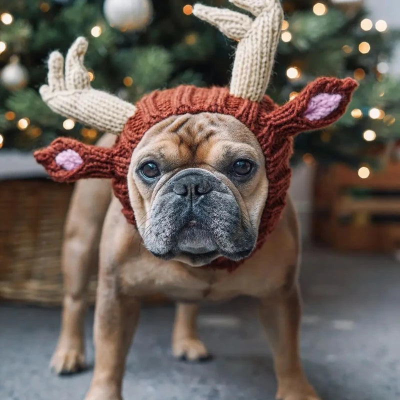 Christmas Elk Dog Hat – Knitted Warm Windproof Pet Headgear