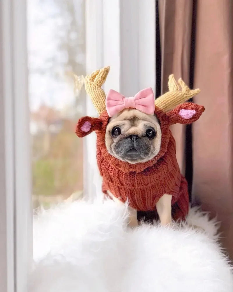 Christmas Elk Dog Hat – Knitted Warm Windproof Pet Headgear