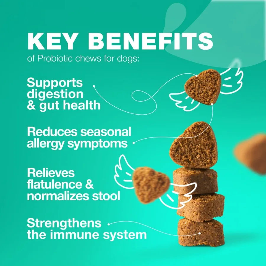 Probiotics for Dogs – Digestive Enzymes & Gut Health Support | Boosts Immunity, Reduces Itchy Skin, Yeast & Allergies | Anti-Coprophagia Formula