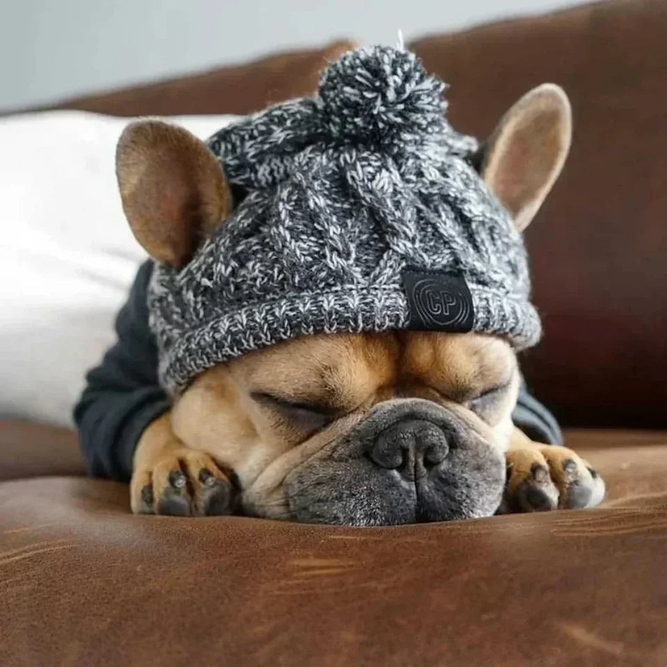 Winter Knitted Pet Hat – Warm Woolen Cap with Fur Ball for Cats & Dogs