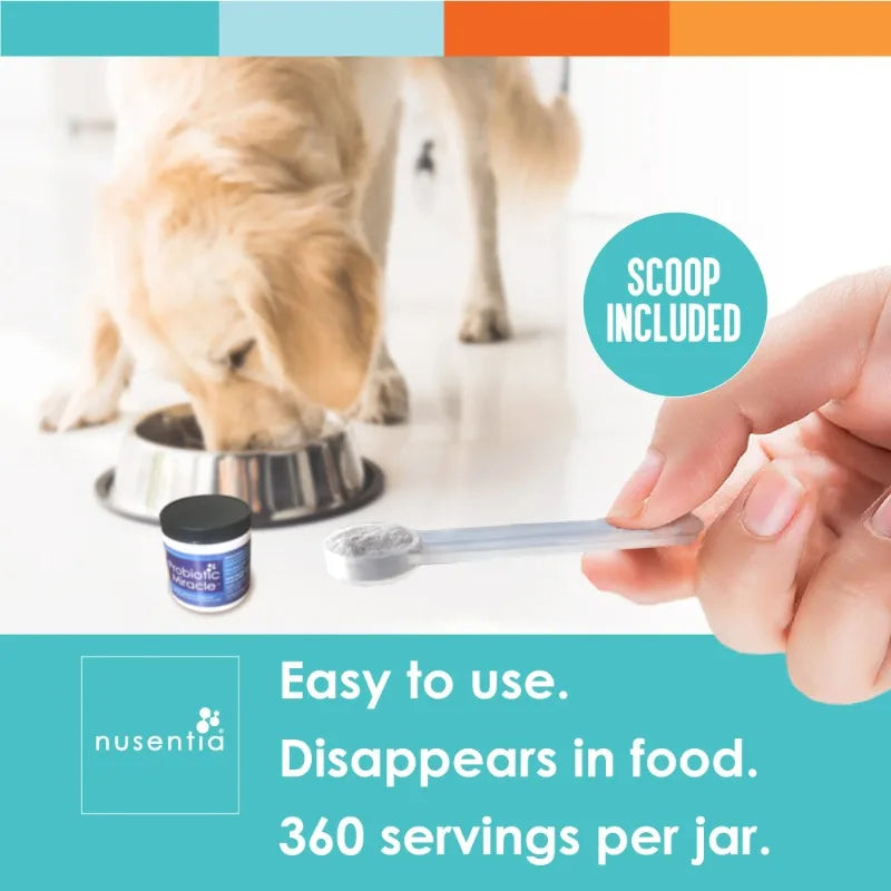 Probiotic Miracle – 360 Servings Probiotics for Dogs & Cats | Digestive, Gut & Immune Support with Prebiotics