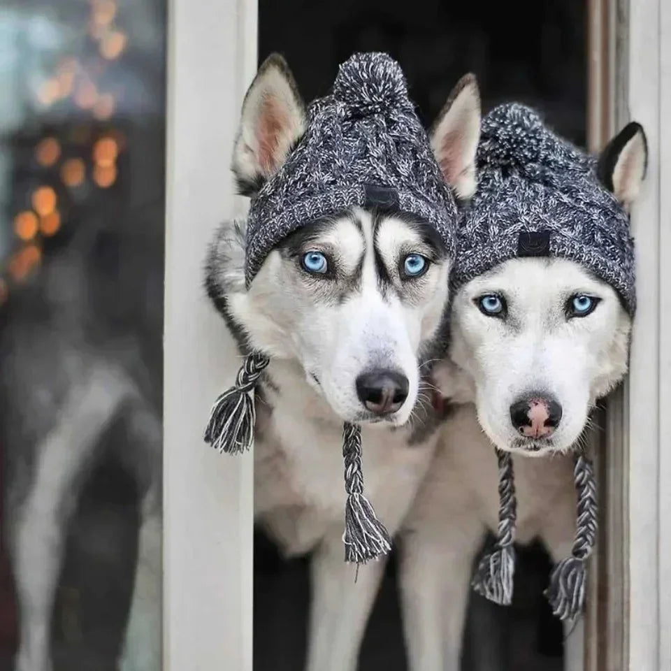Winter Knitted Pet Hat – Warm Woolen Cap with Fur Ball for Cats & Dogs