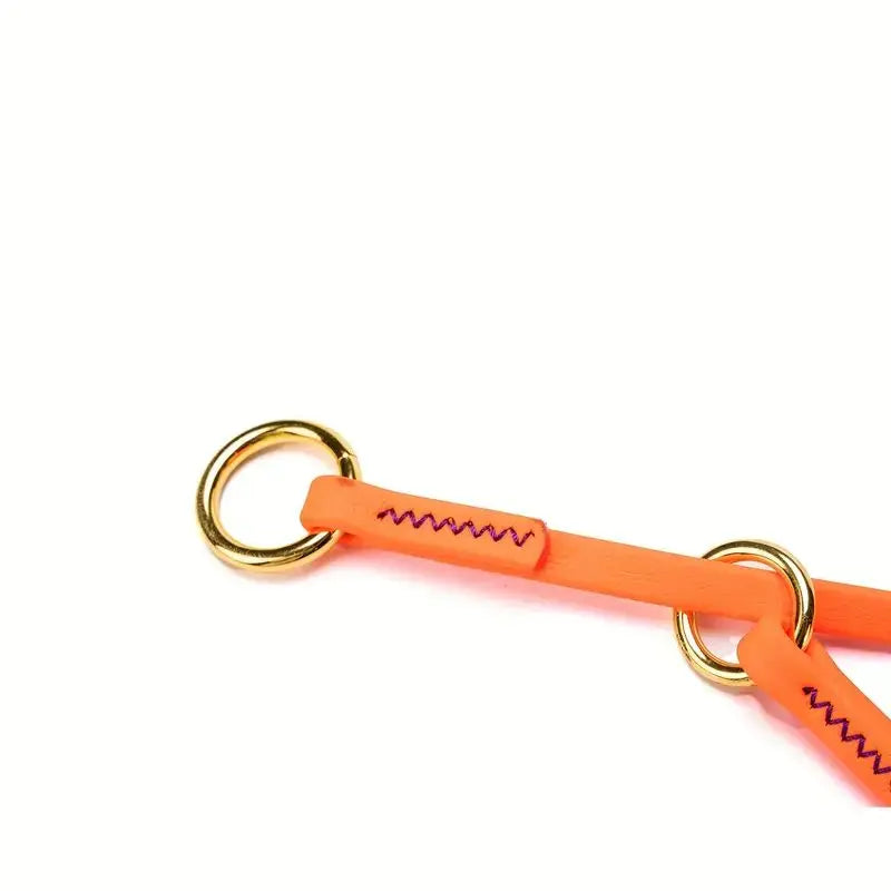 Waterproof P Chain Dog Collar – Easy-Clean Training Collar for Small & Medium Dogs