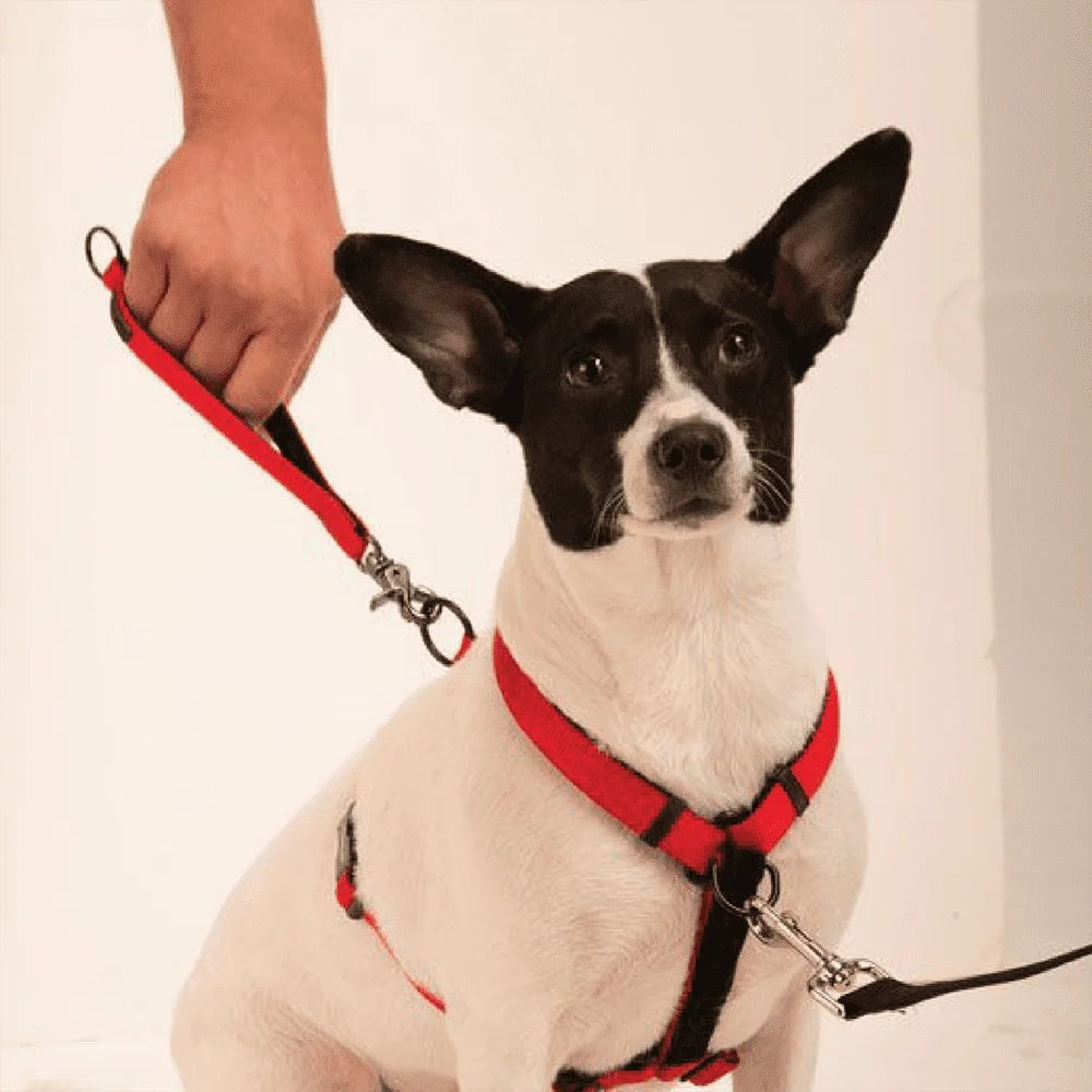 Ultimate Control Dog Harness – Adjustable Multi-Functional Harness with Front & Rear Pull Control, Padded Handle, and Detachable Leash Extension
