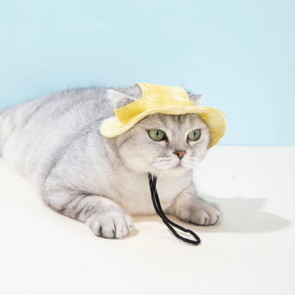 Pet Baseball Cap – Adjustable Summer Hat with Ear Holes for Small & Medium Dogs & Cats