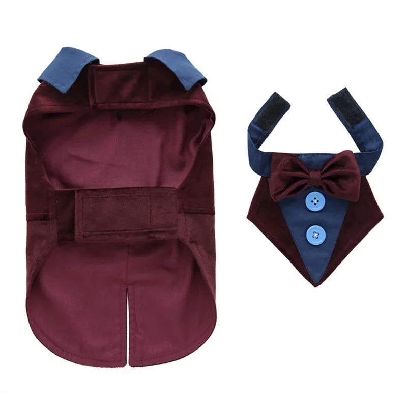 Luxury Dog Tailcoat Suit – Formal Wedding Outfit for Small Dogs (Chihuahua, Maltese, Yorkie)