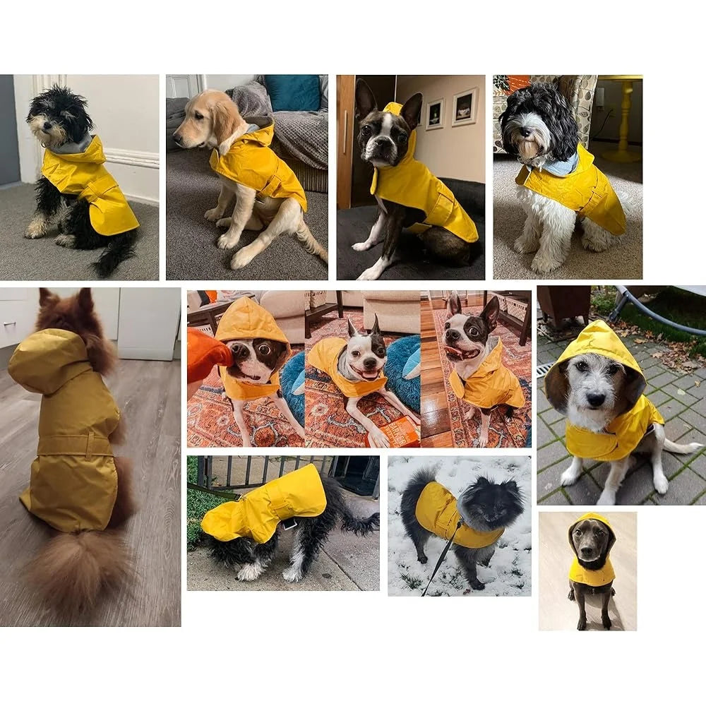 Waterproof Dog Raincoat with Hood – Adjustable Fit, Leash Hole, and Warm Lining for Small to Large Dogs