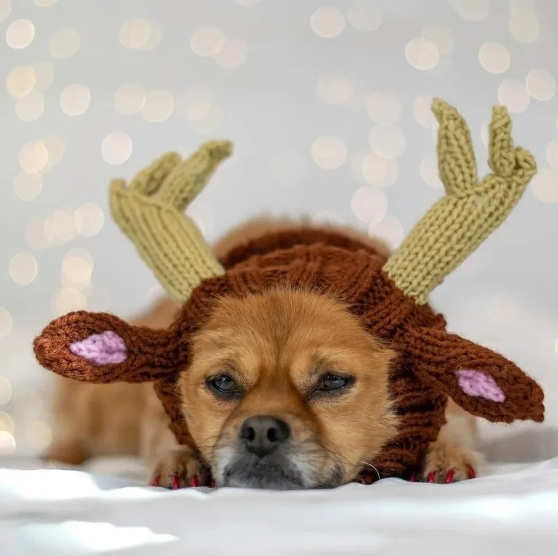 Christmas Elk Dog Hat – Knitted Warm Windproof Pet Headgear