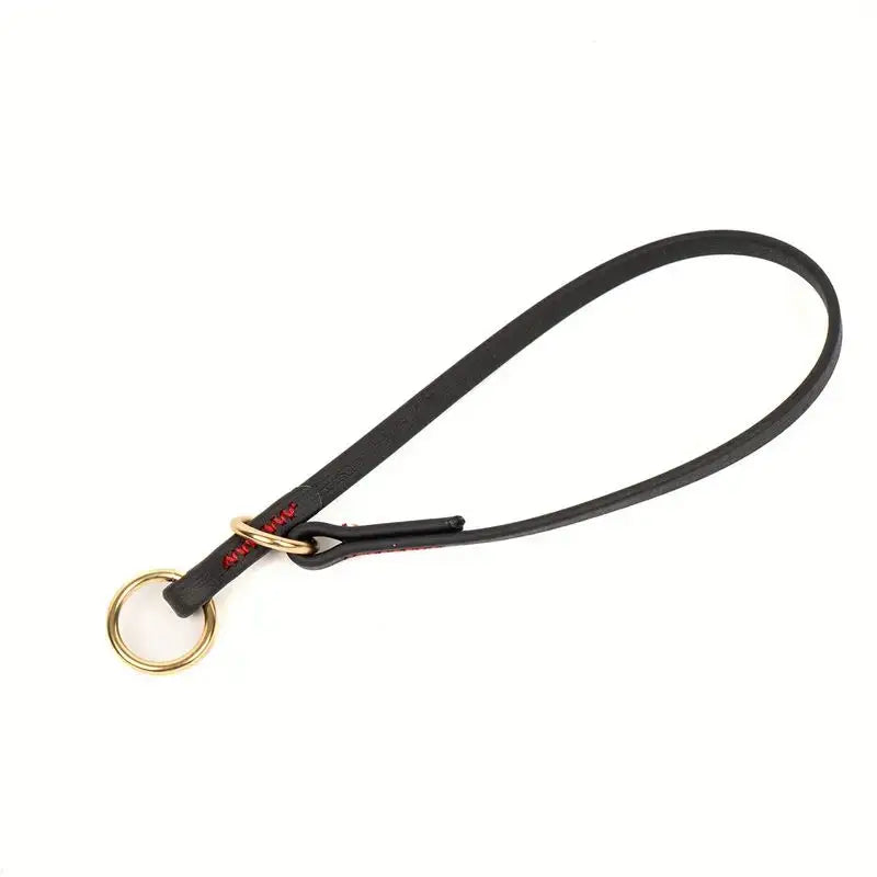 Waterproof P Chain Dog Collar – Easy-Clean Training Collar for Small & Medium Dogs