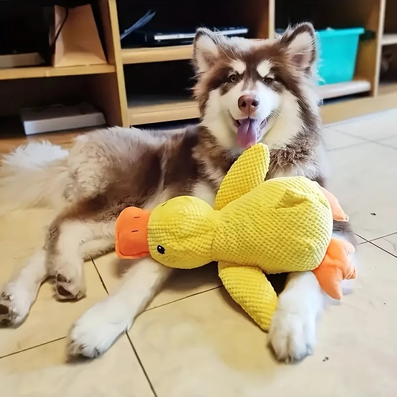 Durable Plush Squeaky Dog Toy – Chew-Resistant, Interactive Toy for All Dog Breeds