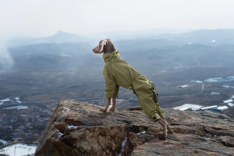 Four-Leg Waterproof Dog Jacket – Windproof Reflective Winter Suit with High Neck