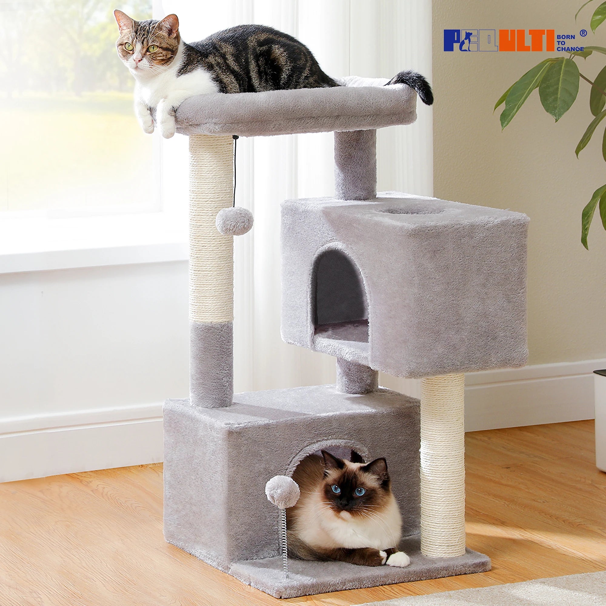 82cm Cat Tree Tower – Double Condos with Detachable Perch & Spring Ball