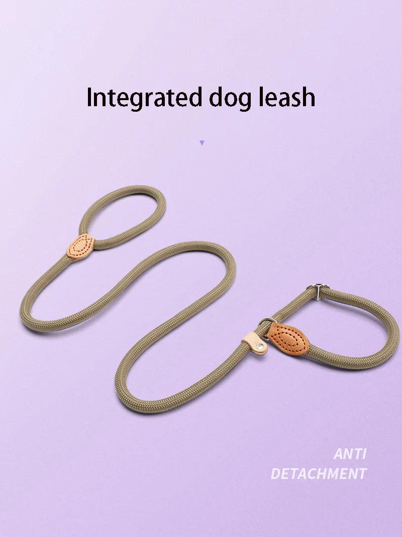 Braided Rope Dog Slip Leash – Adjustable Training Lead for Small & Medium Dogs