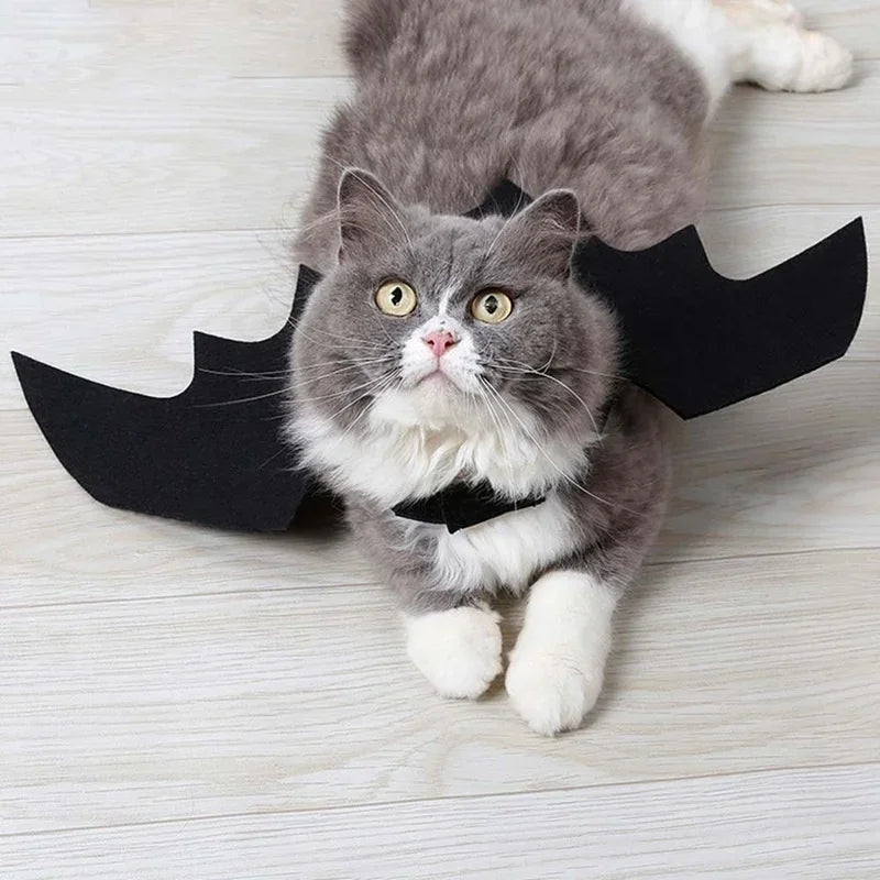 Halloween Bat Wings Costume – Funny Pet Harness Outfit for Dogs & Cats
