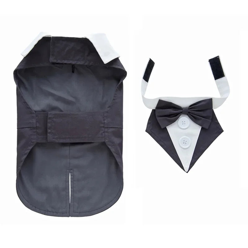 Luxury Dog Tailcoat Suit – Formal Wedding Outfit for Small Dogs (Chihuahua, Maltese, Yorkie)