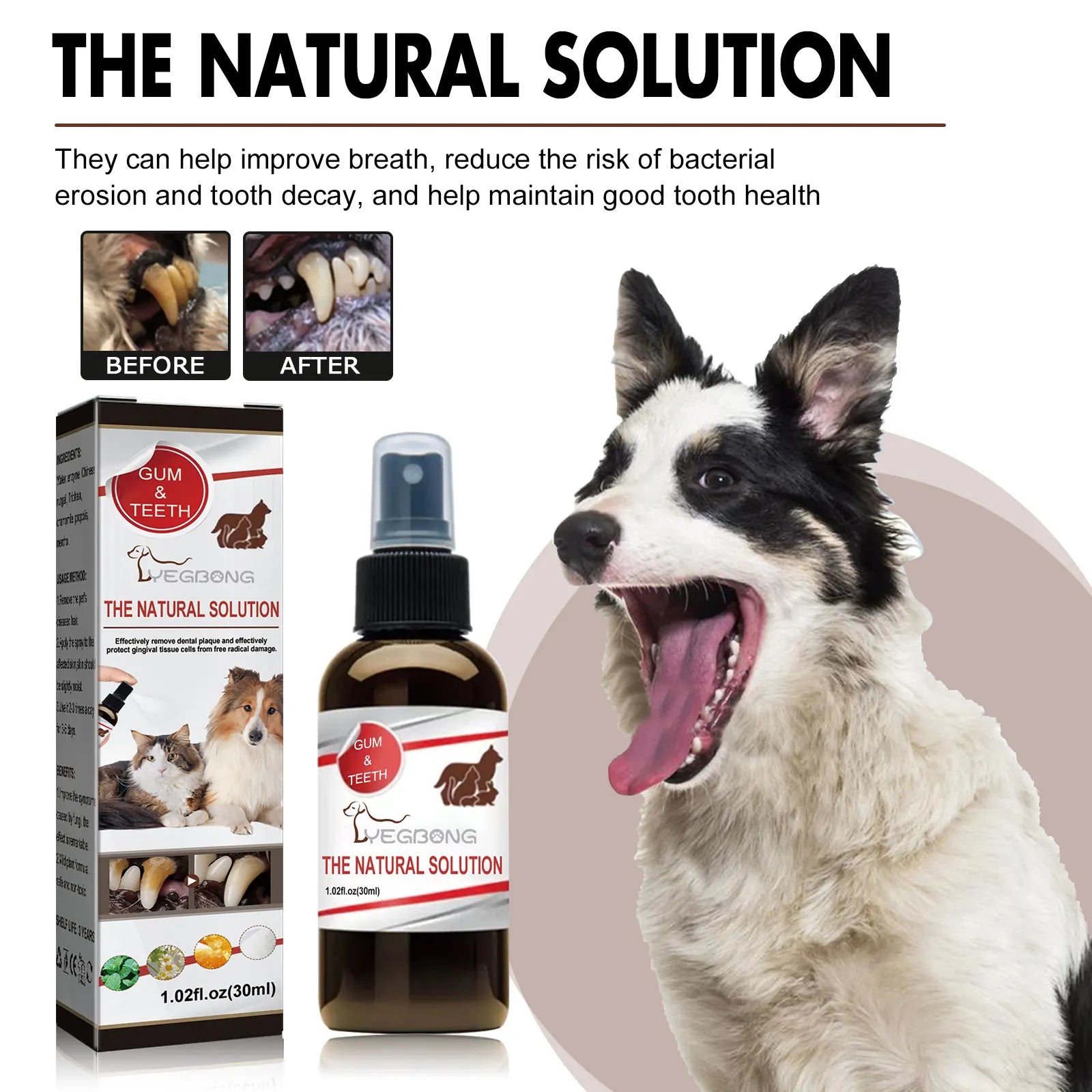 Pet Dental Care Spray – 30ml Oral Cleaning & Breath Freshener for Dogs and Cats | Deodorizing Tooth Cleaning Spray