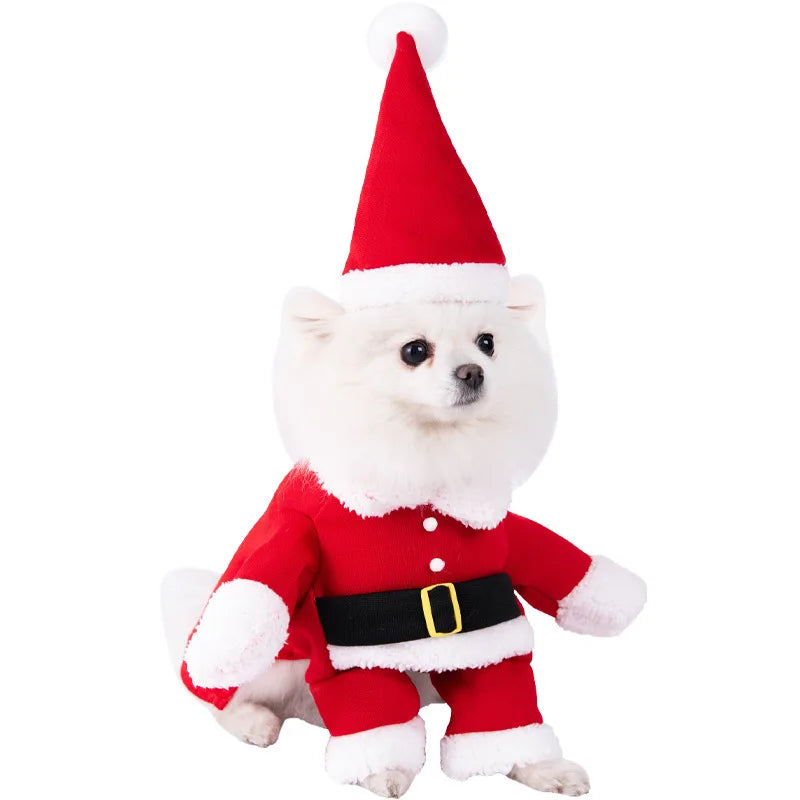Halloween Dagger Costume – Funny Knife-Holding Outfit for Dogs & Cats
