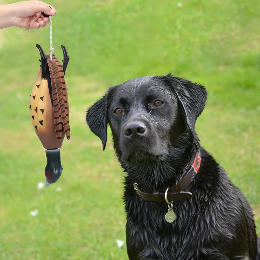Pheasant Dummy Bumper Toy – Hunting Dog Training Aid for Retrievers & Gundogs | Duck Recognition & Retrieval Practice