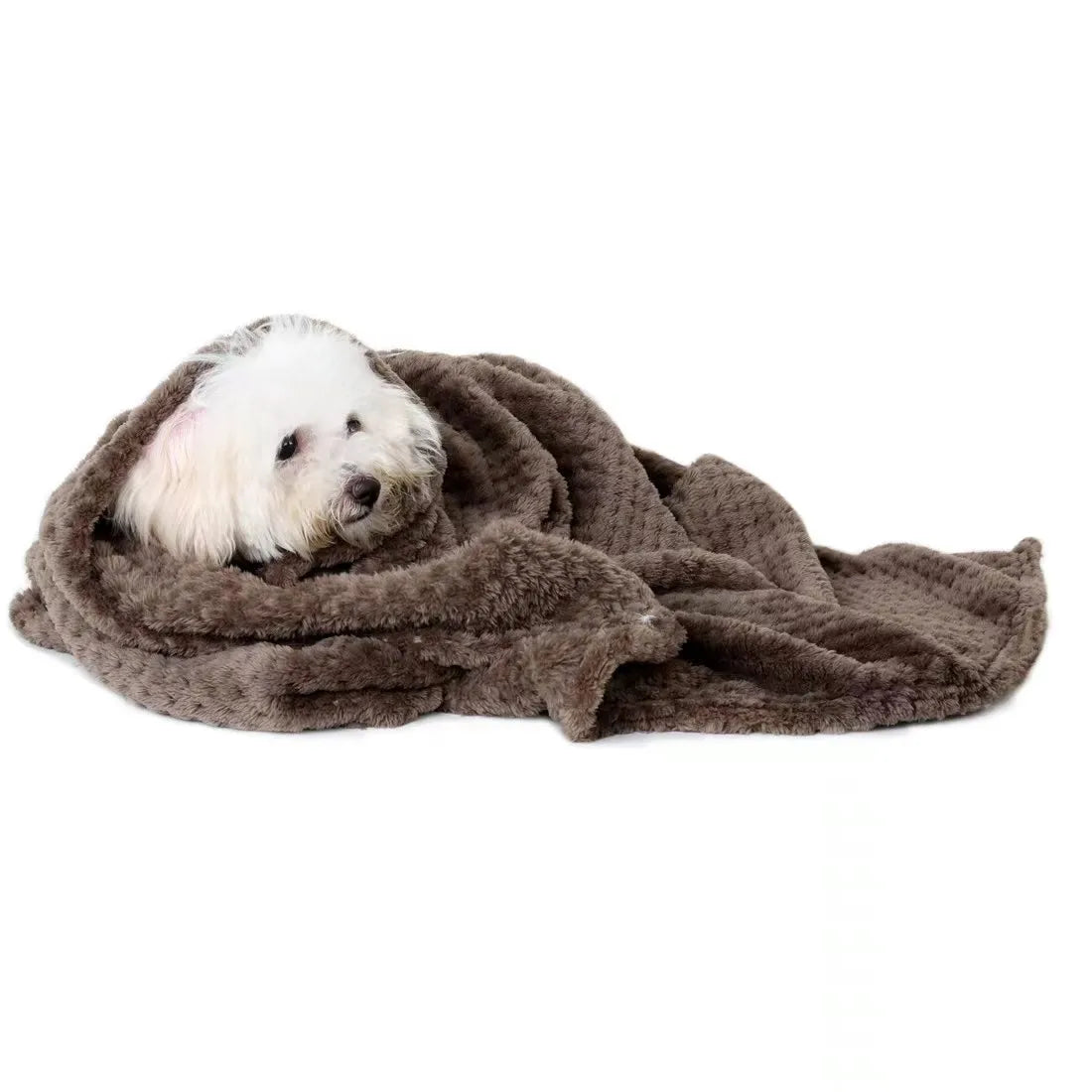 Soft Pet Blanket – Spring & Warm Dog Bed Blanket | Cozy Pet Sheets & Mat for Cats and Dogs