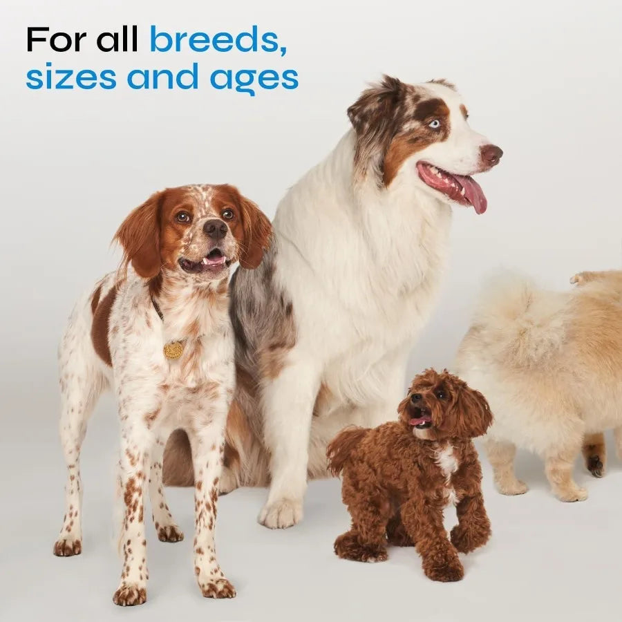 Probiotics for Dogs – Probiotic Chews with Prebiotics | Digestive, Gut, Dental & Immune System Support | Soft Chewable Treats