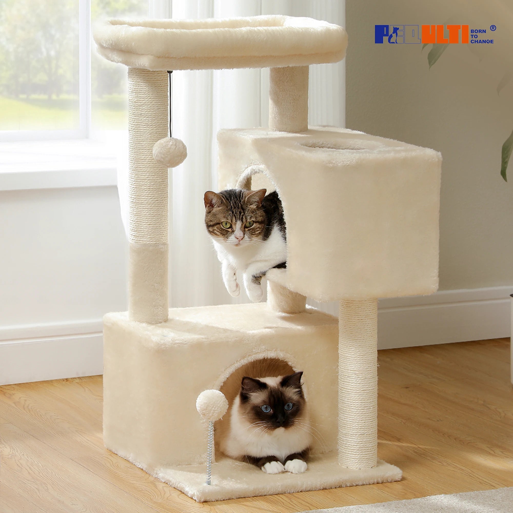 82cm Cat Tree Tower – Double Condos with Detachable Perch & Spring Ball