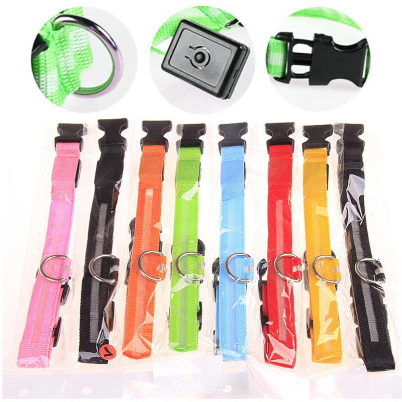 USB Rechargeable LED Dog Collar – Glowing Light-Up Safety Collar with Pendant for Small Dogs & Cats