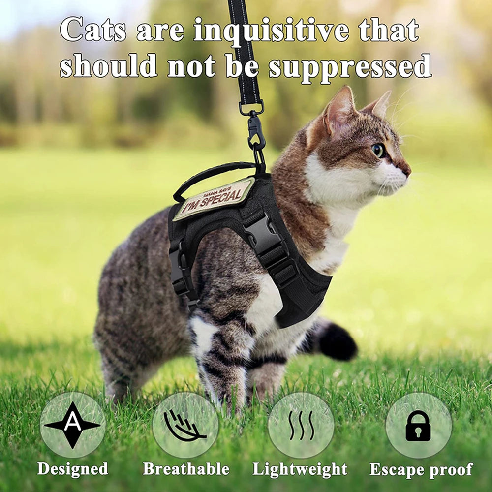 Tactical Cat Harness with Leash Set – Escape-Proof Adjustable Pet Vest with Control Handle for Large Cats & Small Dogs